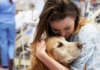 The Powerful Bond: How Pet Therapy Improves Your Health and Well-being
